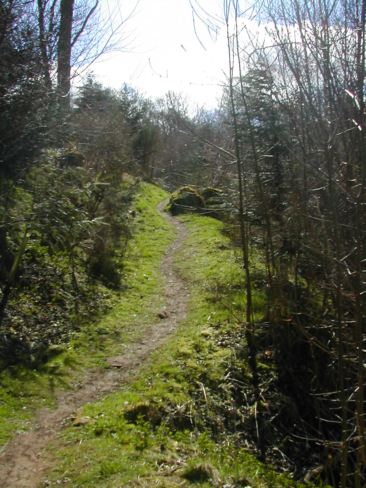 Newtyle image (Den path)